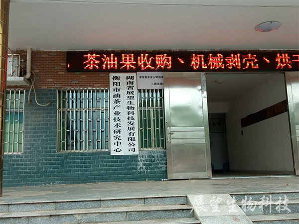 公司實(shí)景6