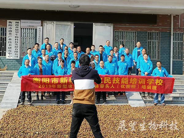 油茶鮮果收購(gòu)