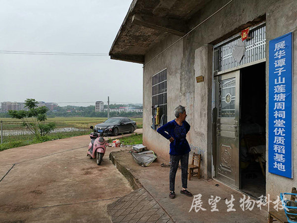 優質稻生產基地